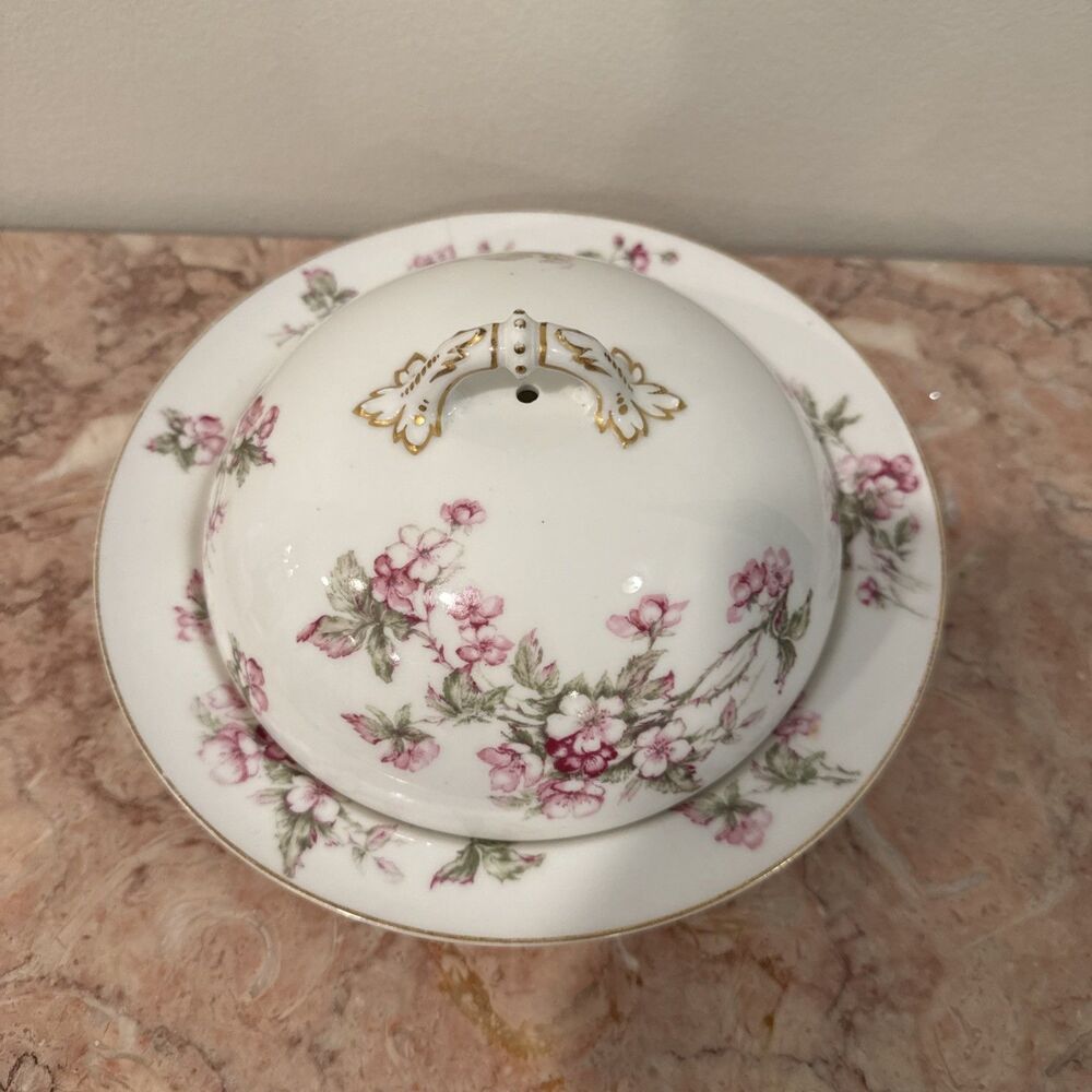 Antique Haviland & Co Limoges France Pink Floral Gold Round Covered Serving Bowl